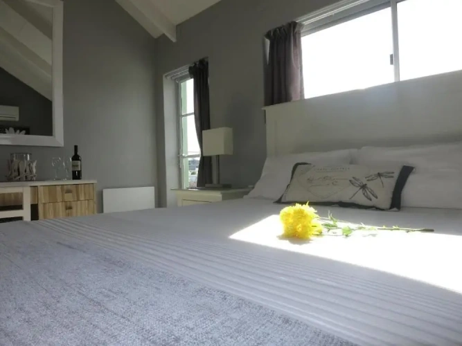 Deluxe Double Suite with city view