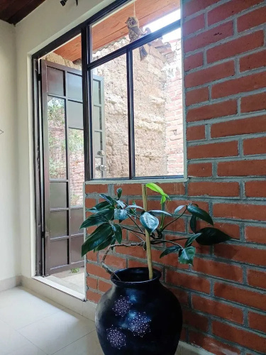Casa Flor De Vida