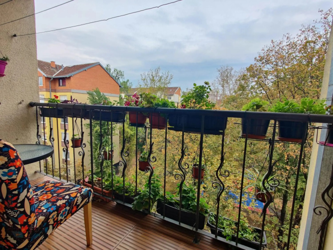 Petra Apartment
