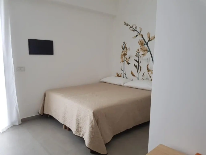Standard Double room with balcony