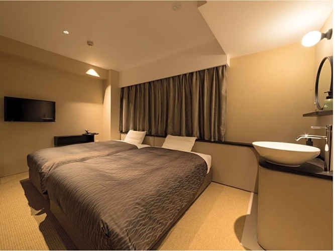 Superior Twin Family room