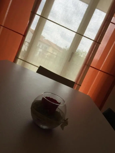 Appartamento Giada