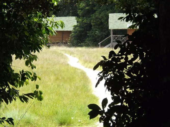 Pongara Lodge