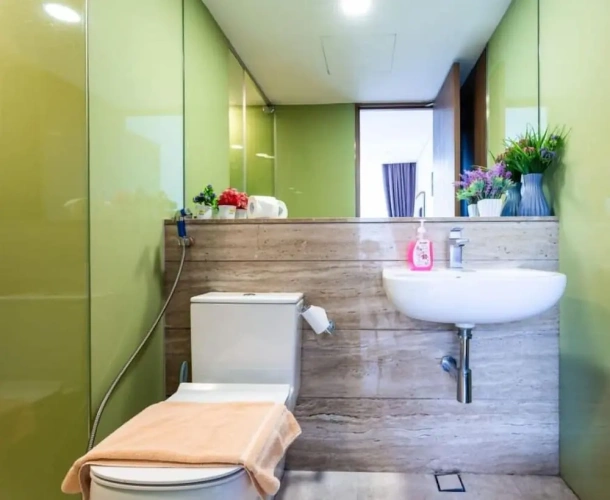 Deluxe Apartment