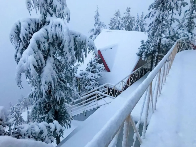 KVR Clarks Inn, Kufri