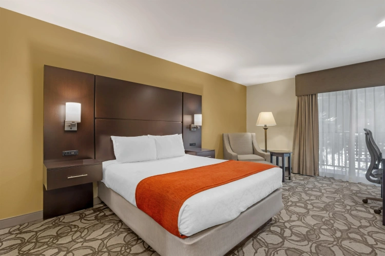 Standard Double room