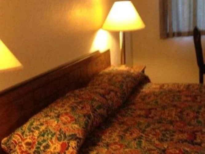 Pine Cone Motel