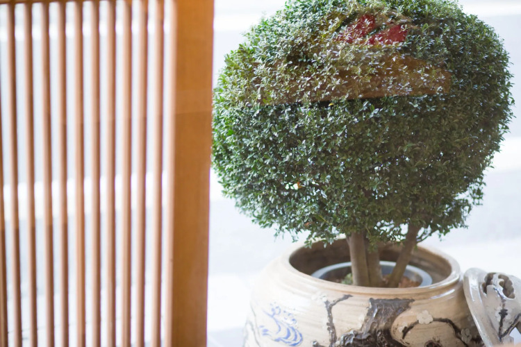 The Hotel Kiyomizu GionOver view