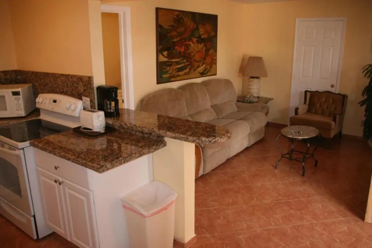 1 Bedroom Apartment