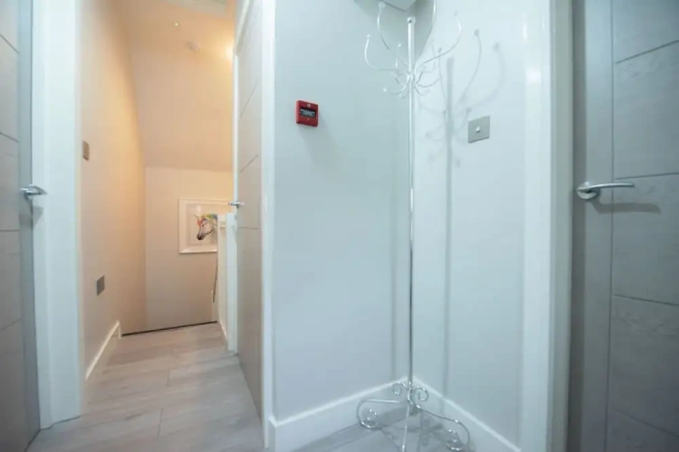 Deluxe Penthouse room