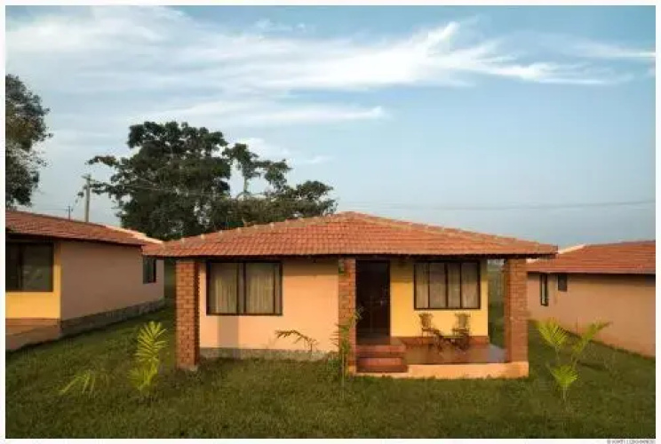 The Peepal Tree Kabini