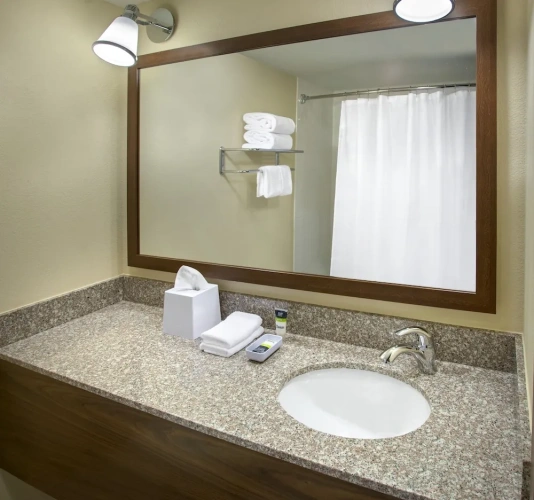 1 Bedroom Suite