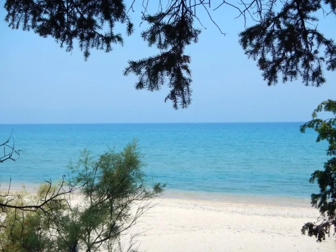 1 Bedroom Double Apartment with garden view