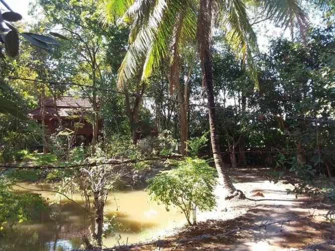 Cottage with garden view