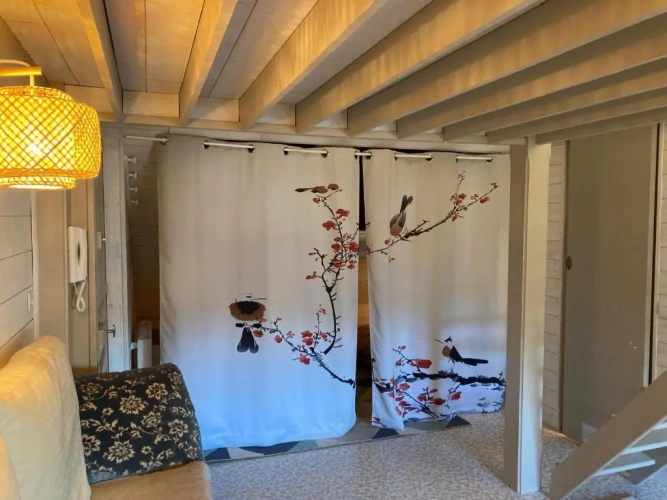 Triple Family Studio