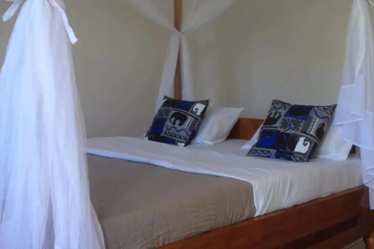 African wagtail hostel