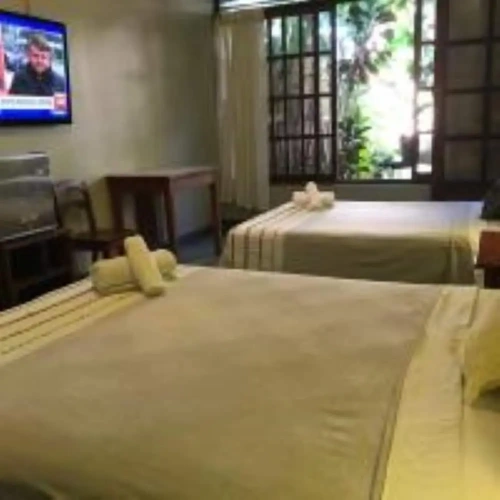Standard Twin room with balcony and with garden view