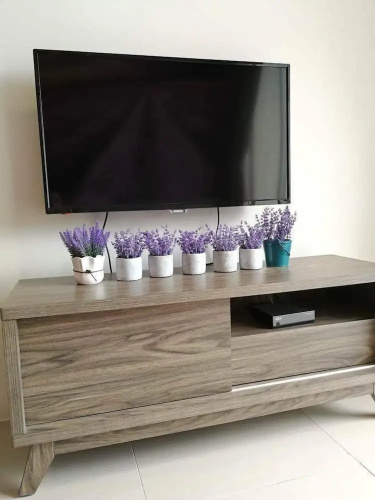 VgoCameron Home