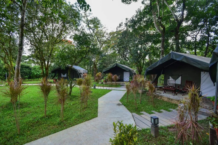 Monica Garden Bungalow