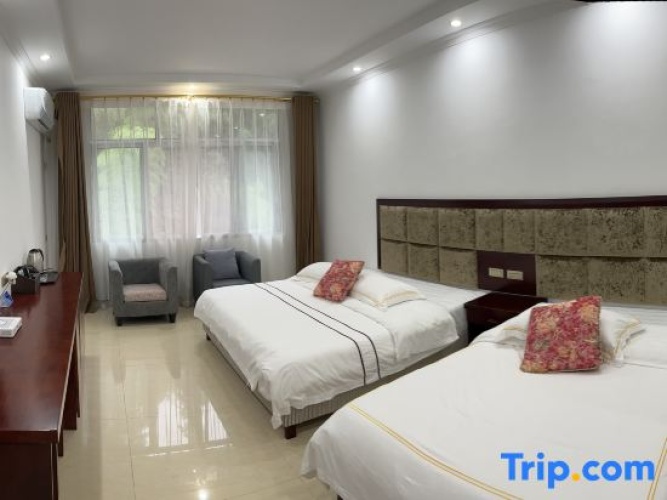Standard Twin Family room