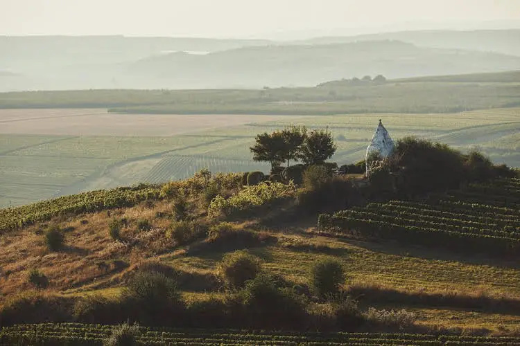 Meyerhof - Weingut, Vinothek & Gästehaus