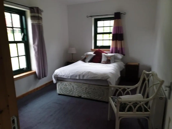 Single Suite