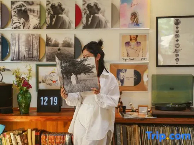 Harvestmoon Vinyl Record Villa