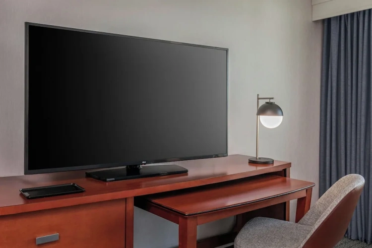 1 Bedroom Suite