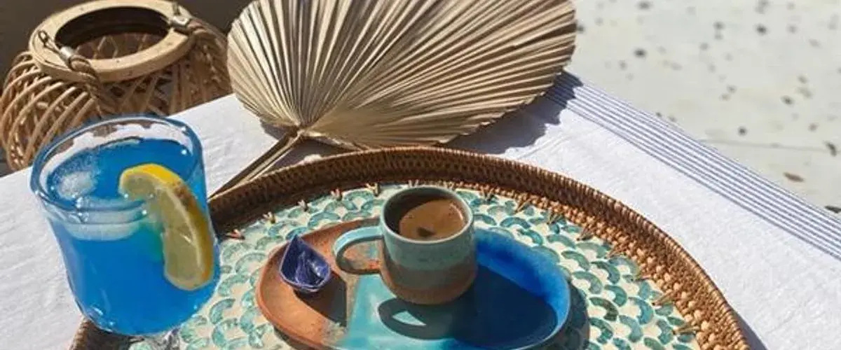 Salvia Butik Sogut