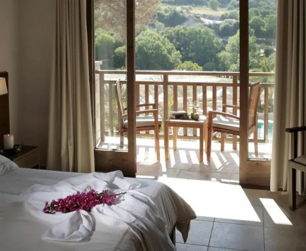 Standard Double room with balcony and with view