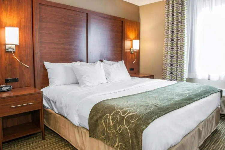 Superior Double Suite