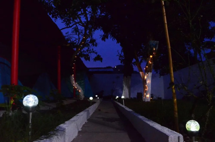 Magic Jardín