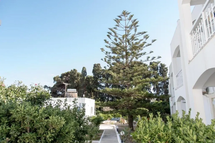 1 Bedroom Basement Apartment