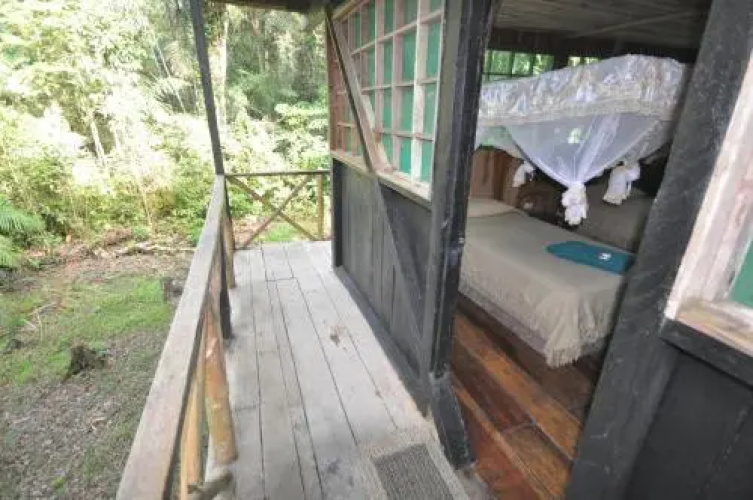 Tapir Lodge