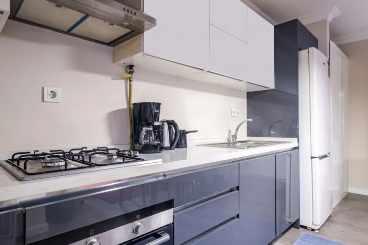 Gorgeous and Central Flat is Sisli