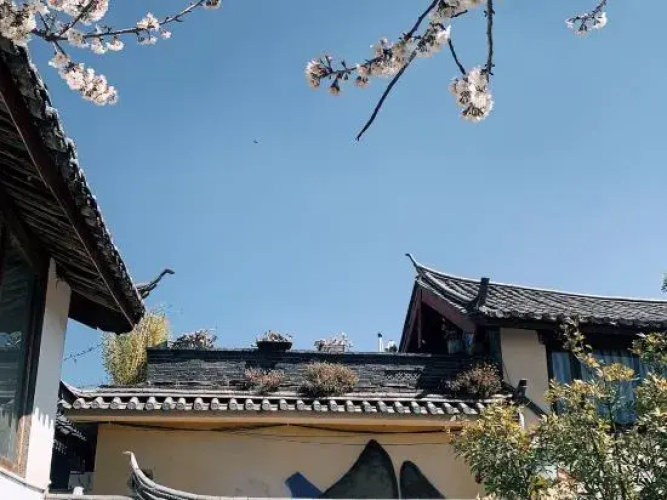 Guanshanyue Designer Homestay