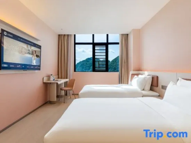 Business Double room with mountain view