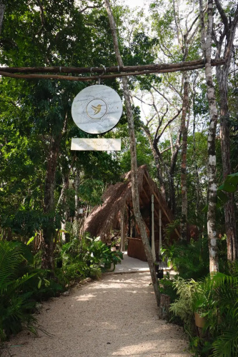 The Yellow Nest