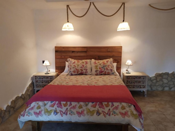 Standard Double room with balcony and with garden view