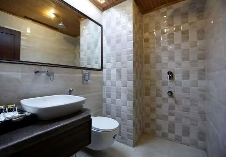 Hotel Shingar