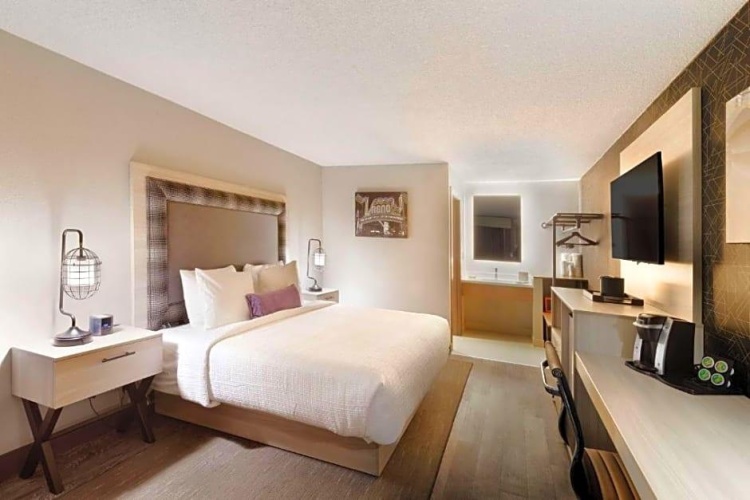 1 Bedroom Suite