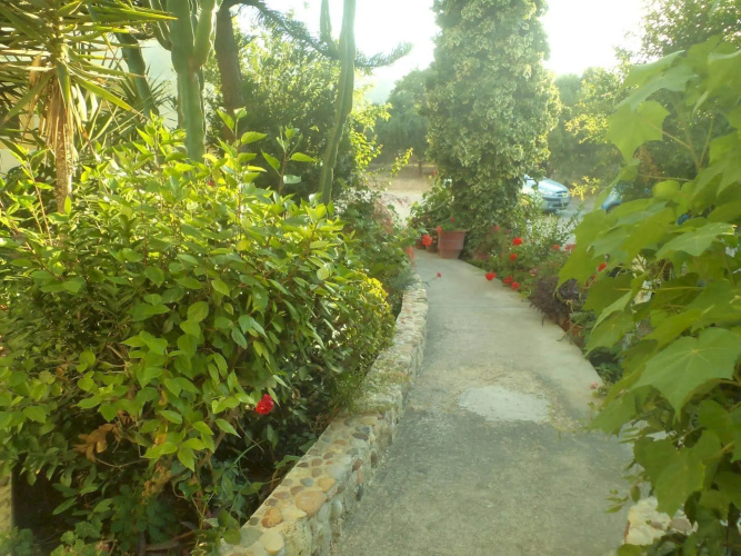 Afentoulis Studios