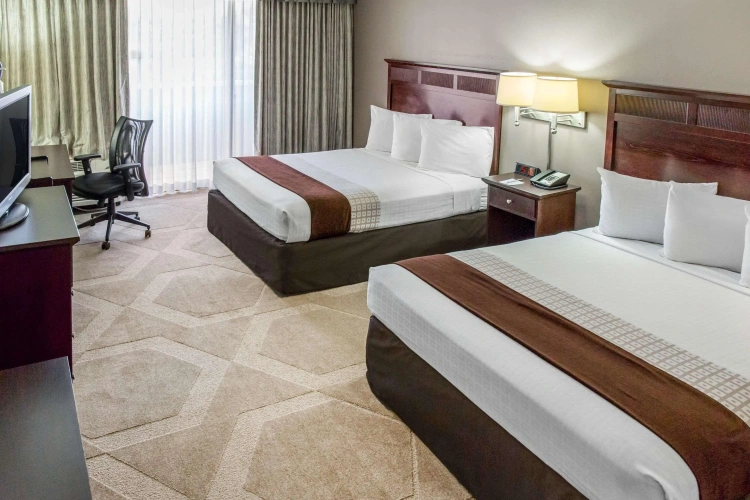 Guest rooms