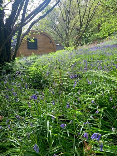 The Highland Hideaway Pod