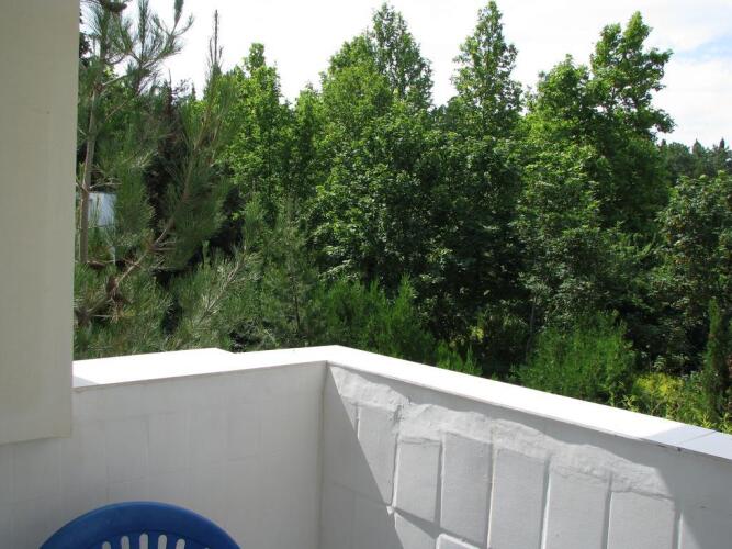 Фотография номера пансионата Альбатрос