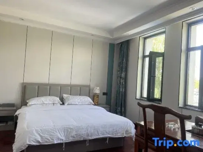 Standard Double room with lake view