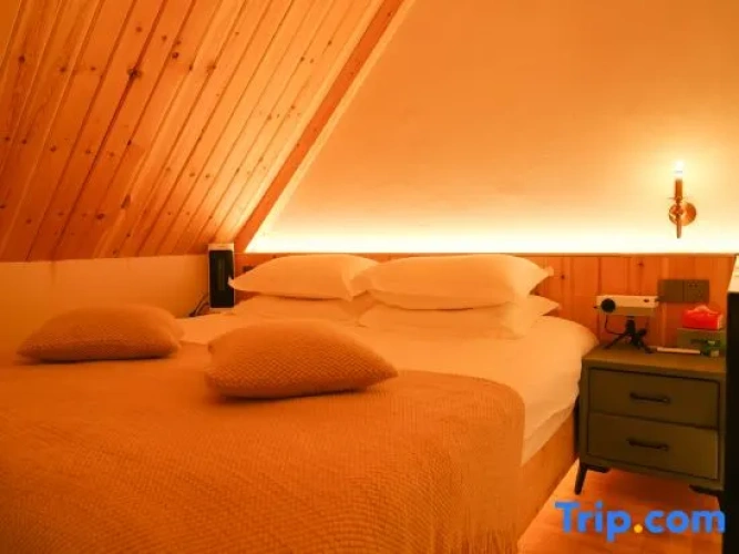 Double Apartment