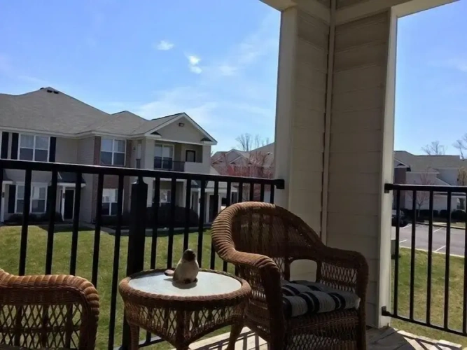 1 Bedroom Deluxe Apartment