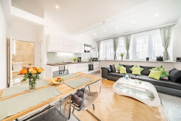 Terrace Apartment near Danube