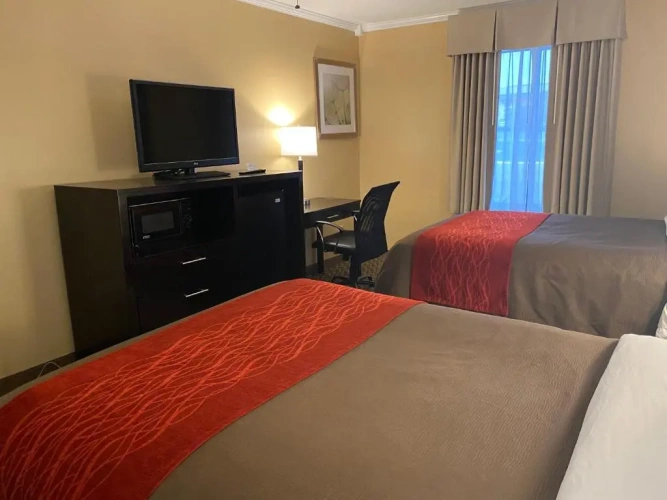 Deluxe Suite